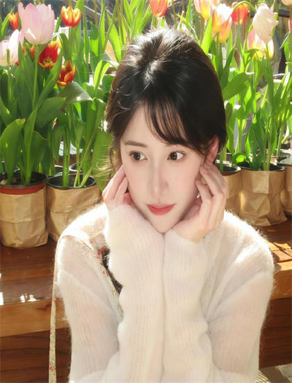 深入探讨：《茶花村的幸福生活》的视觉特效与美术设计——带你了解不为人知的细节